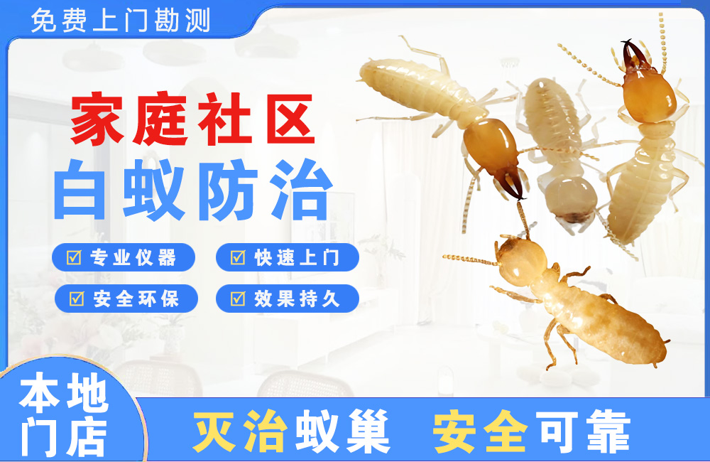 彭州家庭社区白蚁防治
