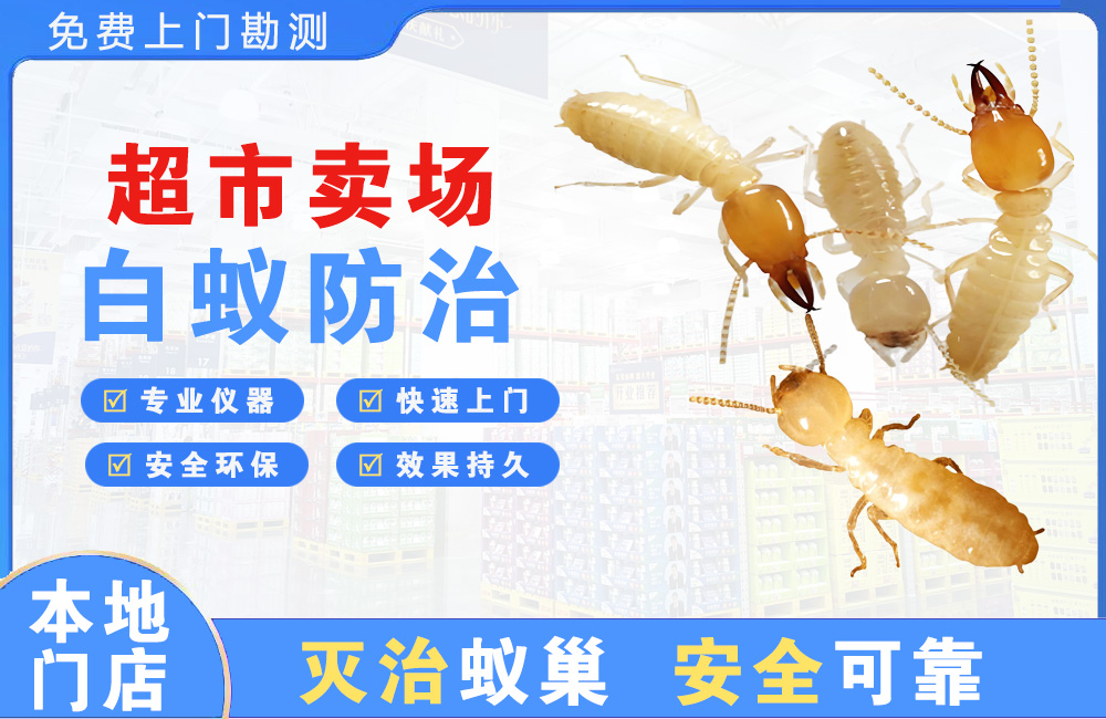彭州超市卖场白蚁防治