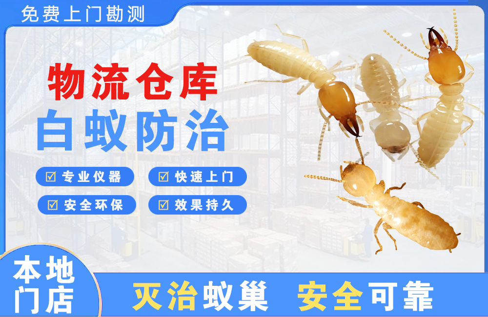 彭州物流仓库白蚁防治