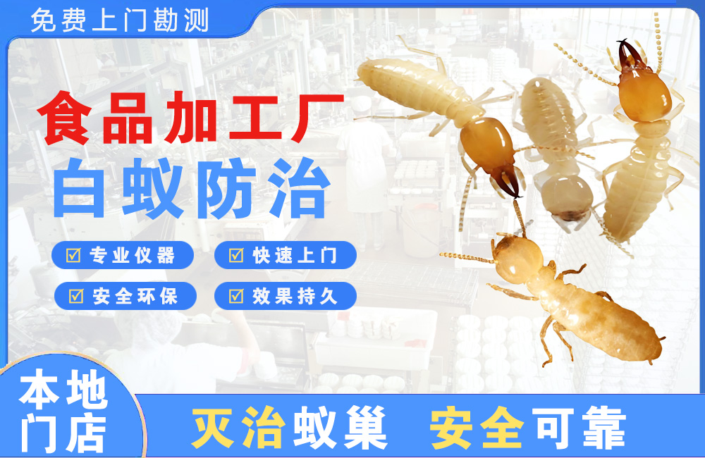 彭州食品加工厂白蚁防治