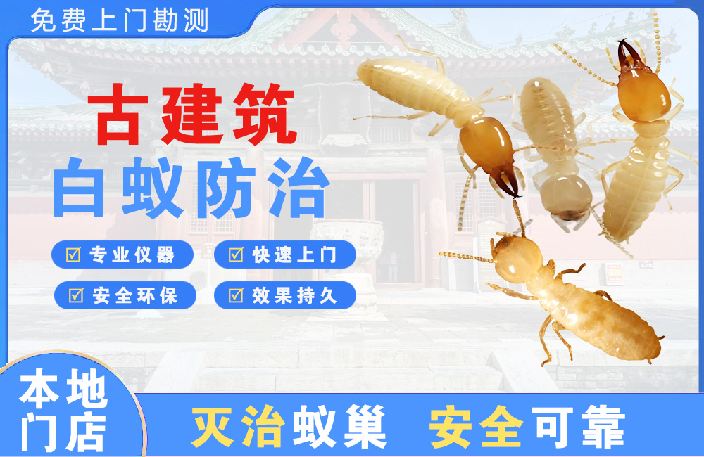 彭州古建筑白蚁防治