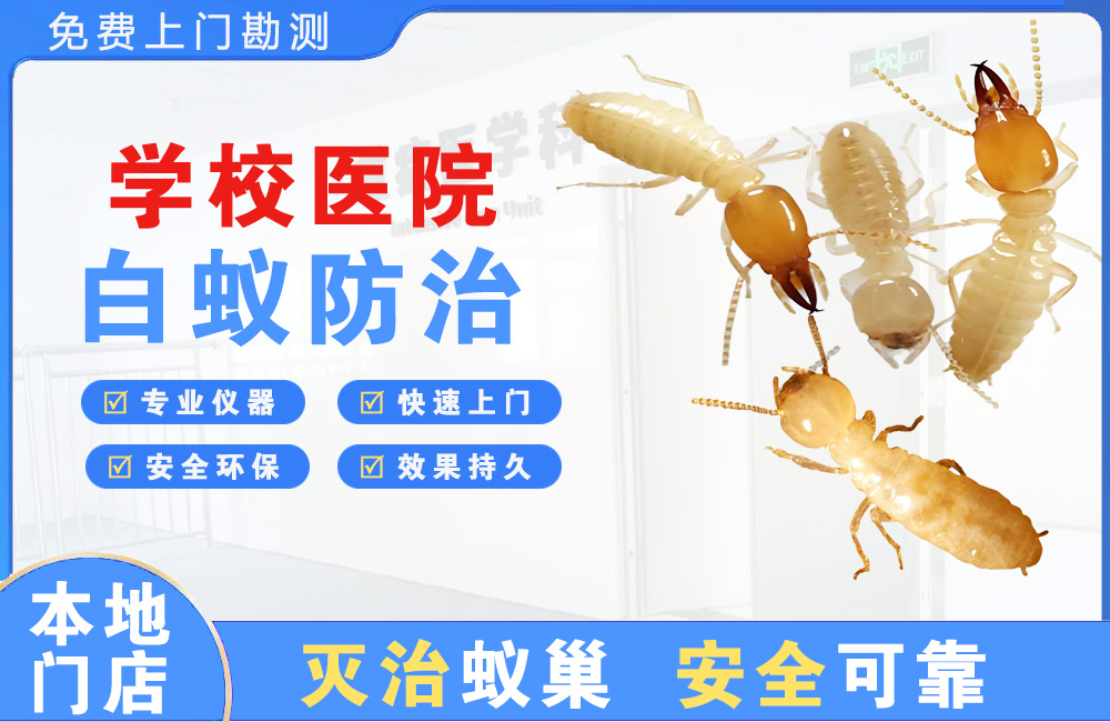 彭州学校医院白蚁防治